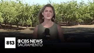 Some San Joaquin County residents lose power, water in PG&E PSPS event