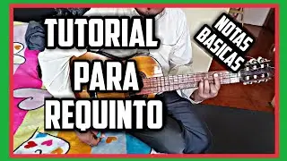 Tutorial Para Requinto Principiantes Notas B&aacute;sicas Santiago Chamba