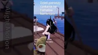 Dzień pierwszy czekania na Femelixa komentarz