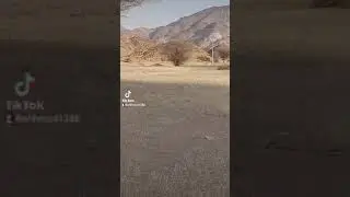جيت منزلنا طريق واسط بين ينبع النخل وبدر