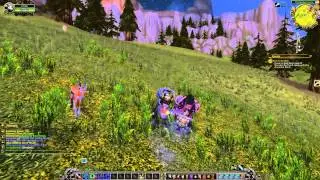 Rite of Wisdom Quest Playthrough - Mulgore
