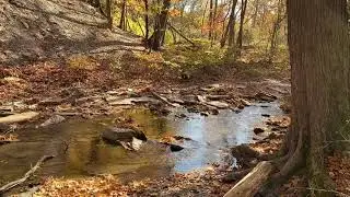 Walking the Cahoon Creek Basin Trail - Bay Village OH