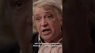 МУРИЛЬО: ПУТЬ ХУДОЖНИКА #АртЛекторийВкино | Фильмы об искусстве на экранах кинотеатров