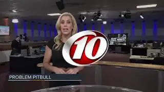 10News WTSP Nightside Cold Open June 27