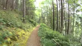 Short trail ride