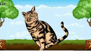 Animals name picture and sounds by everything world!!!!! Everythingworld