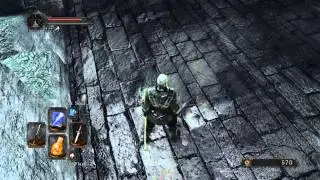 DARK SOULS&trade; II - You again?! Stop following me! (Nebula_Nine)