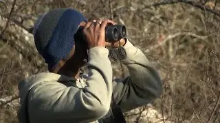 Counting feathers: A look inside the annual bird census at Hagerman Wildlife Refuge