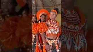 Royal & Pride Beaded Grace Feathers, Headpieces,