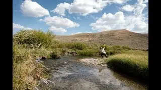 Water in the West