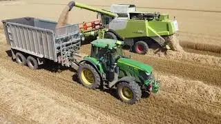 Summer grain harvest