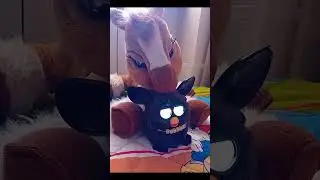 Dustin the Furby meets Toffee the interactive pony 🐎