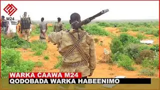 WARKA HABEENIMO M24 TV 03.12.2022