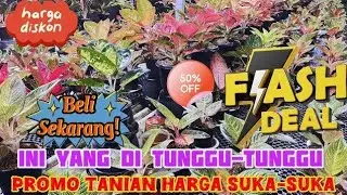 SEMUA HARGA DISKON, BELI MAKIN BANYAK HARGA MAKIN MURAH. PROMO HARGA SUKA-SUKA. Eps 1555