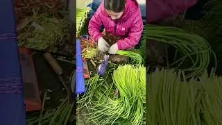 World's Most Skilled Workers #shorts #Satisfying #ASMR # #Skilled #Workers