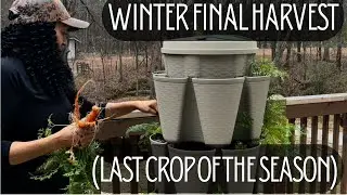 Winter final harvest and clean out