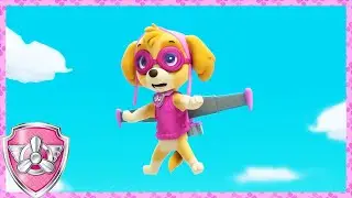 Skye Makes A Mistake! ❌ (Compilation) | Skye - Paw Patrol & Friends | Cartoons For Kids