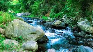 River Ambience For Study & Focus, Sound Masking, Nature Sounds