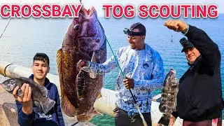 Рыбалка TAUTOG в Нью-Йорке - мост через Северный канал - залив Джанаика