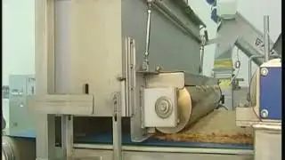 Apple Pear Processing Line