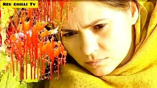 Sheetal | Zarak and sheetal | Sheetal Baloch | red chilli tv