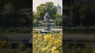 Volksgarten VIENNA #shorts