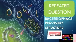#bACTERIOPHAGE#Structure of virus#Types F.SC biology chapter#5 topic#6#Botanybyfatima inenglish-urdu
