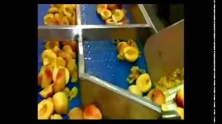 Apricot plum peach Beverage Processing Line