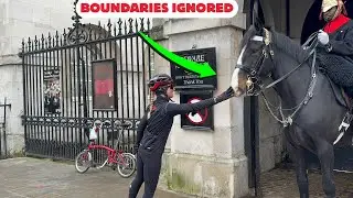 😱 DISGRACEFUL SCENE! Woman Touches and Feeds Horse Guard Horse