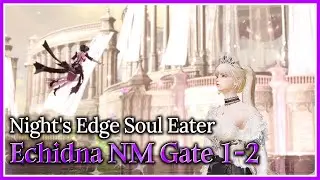 [Lost Ark]1621 Night's Edge Soul Eater - Echidna Normal Gate 1-2