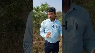 Environment of MP | Singrauli | 1st blog |youtube