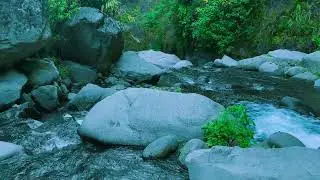 Soft Water Sounds Ambience &ndash; For Meditation, Inner Peace, Wellbeing & Anxiety Relief