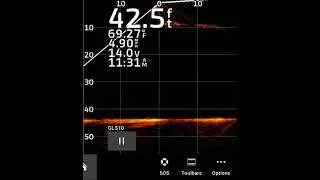 Champ Search 2022 Sonar Hit