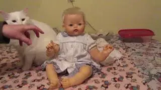 Kitten by Madame Alexander - the broken doll
