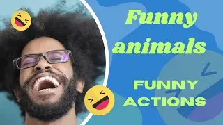 Funny animals actions, funny animals fighting, 😄😆🤣, funny animals video, 😄😆🤣funny videos, 😄😆🤣,