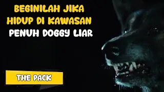 BERTAHAN HIDUP DARI S3RANGAN 4NJ1NG LI4R - Alur Cerita Film The Pack