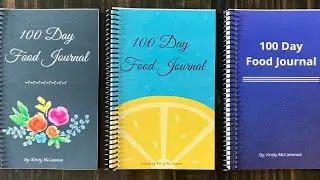 100 Day Food Journal