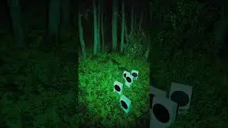 So, is this where Series S consoles come from? ❎ #Xbox #Unexplained #InTheWoods