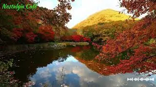 Soulful Autumn Journey Music #AutumnMusic #SoulfulJourney #FallPlaylist #SentimentalMusic