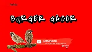 MASTERAN BURGER‼️BURUNG GREJA SPEED RAPET@MACKICAU