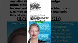 AfD slams other political parties