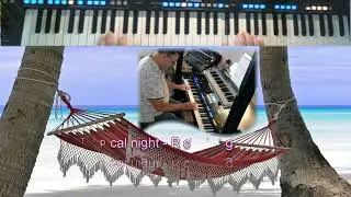 Tropical night - Ricky King
