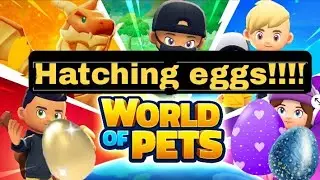 Hatching eggs in wop! ~world of pets~ XxCamy._.woplegendiixX