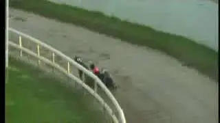IGB - www.barkingbuzz.ie  09/07/2019 Race 7 - Tralee