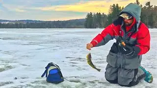 Windy Lake Carmi Walleye 22 2019   HD 1080p