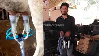తక్కువ ధరలో మిల్క్ మిషిన్ | Low Cost Milking Machine Working And Price Details Telugu 2020 |VGN Agro