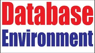 CS403_Lecture02  | Database Environment | Virtual University