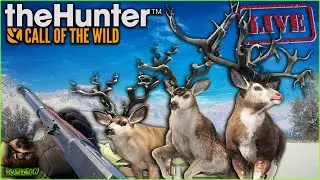 Extreme HM Mule Deer Great One Grind #4 Begins! Multiplayer After??? Call of the wild
