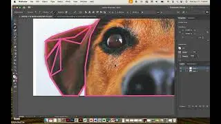 LOW POLY PROCESS