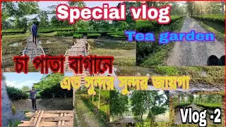new vlog tea garden!! new bangali vlog!! desi Subro vlog!! desi bangla vlog!! west Bengal vlogs!!